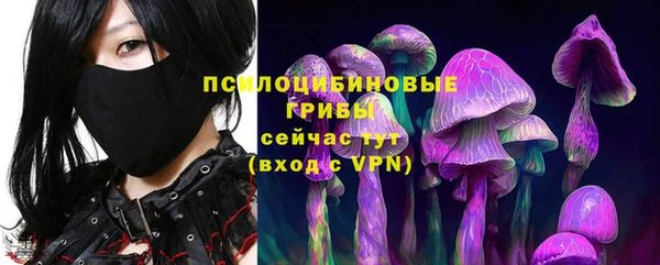 jwh Зерноград