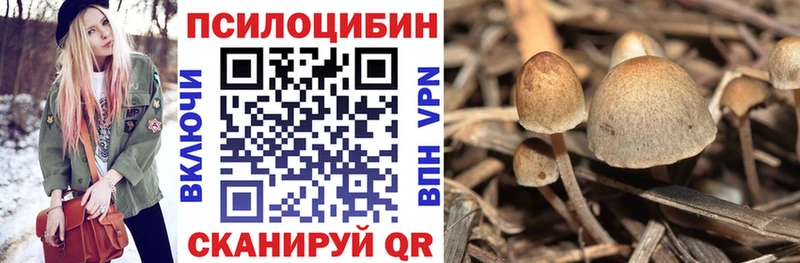 Псилоцибиновые грибы MAGIC MUSHROOMS  Купить где  Сергач 